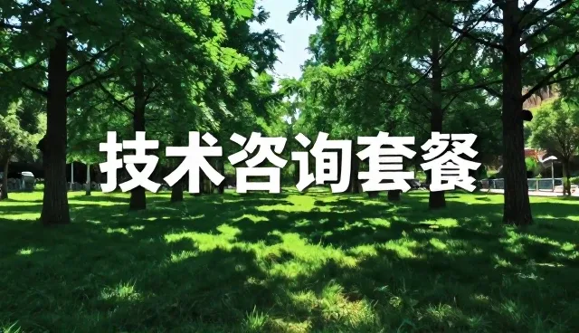 适配方案在业务转型中的关键作用与实践路径